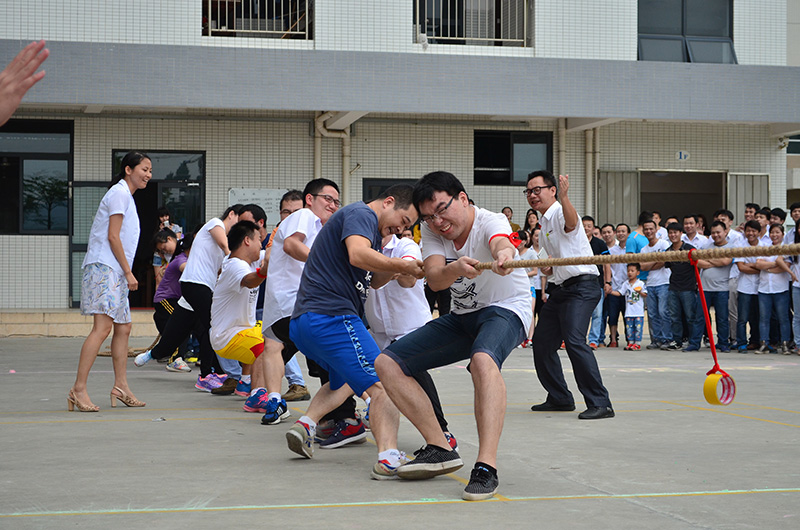 乐鱼页面在线登录