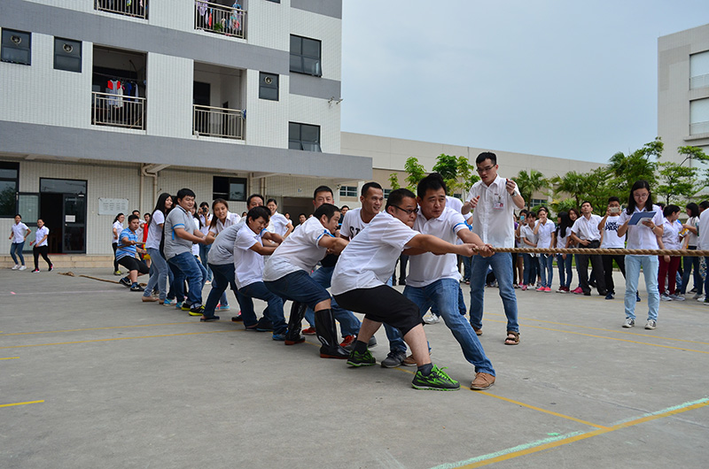 乐鱼页面在线登录