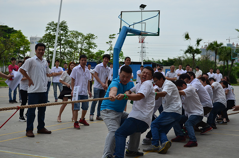 乐鱼页面在线登录