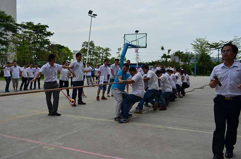 乐鱼页面在线登录