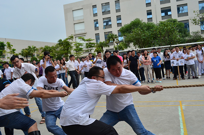 乐鱼页面在线登录