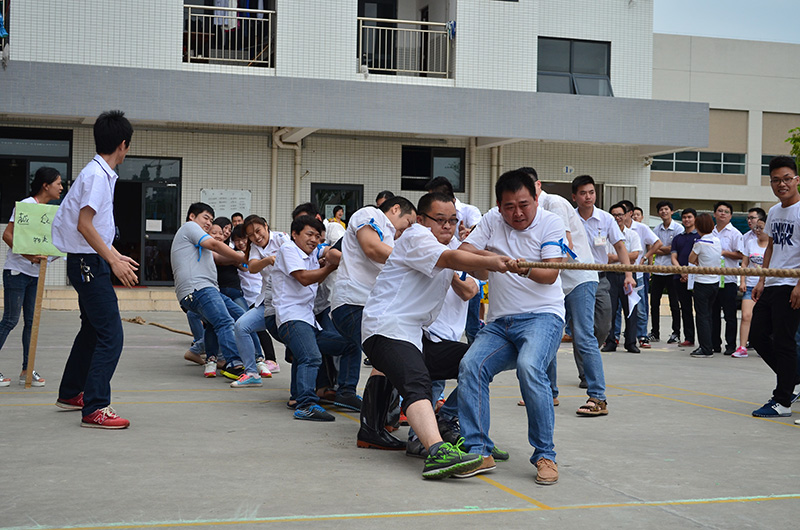 乐鱼页面在线登录