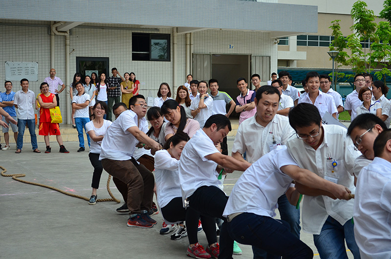 乐鱼页面在线登录