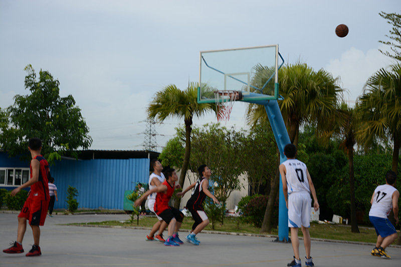 乐鱼页面在线登录