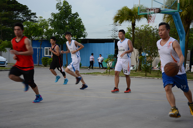 乐鱼页面在线登录