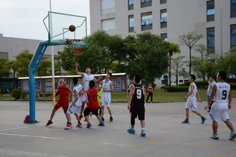 乐鱼页面在线登录