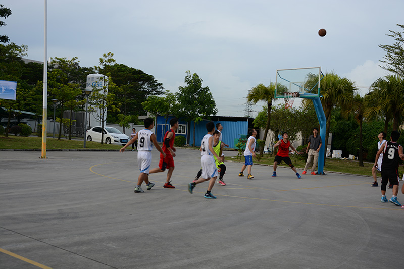 乐鱼页面在线登录