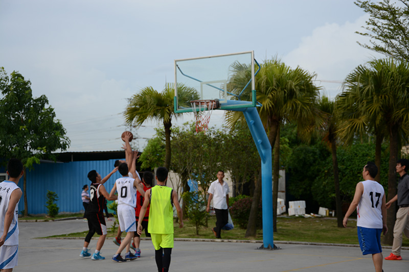 乐鱼页面在线登录