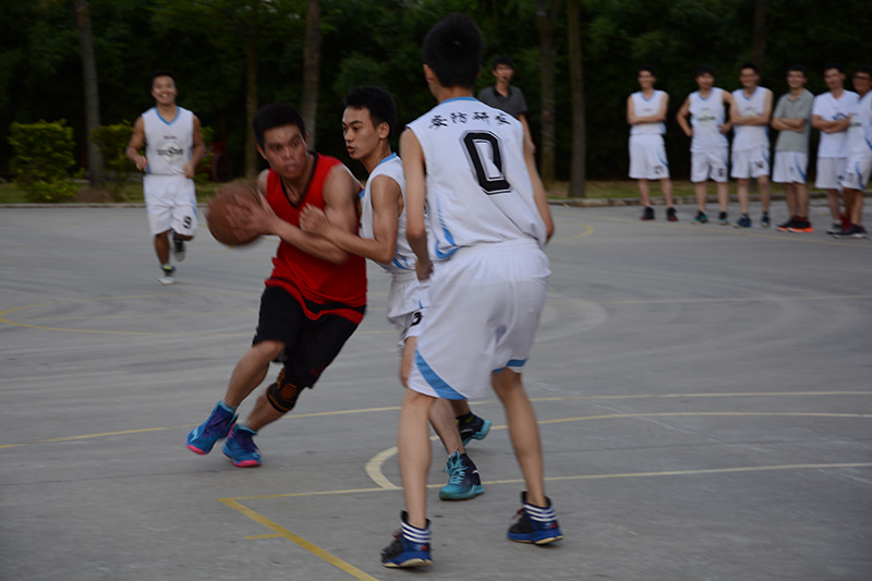 乐鱼页面在线登录