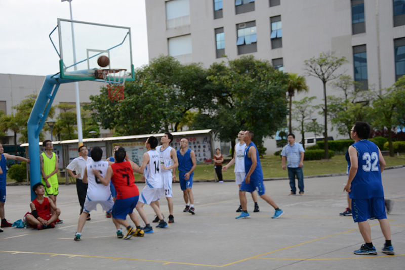 乐鱼页面在线登录